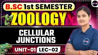 B.Sc 1st Semester Zoology | Cellular Junctions | BSc 1st Semester Unit-1st Cellular Junctions L-2