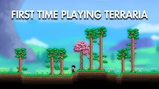 First Time Playing Terraria, Give Me Some Tips!
