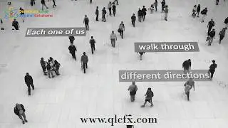 Best Group of experienced Forex fund managers and market analysts In World