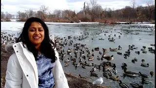 Start of Adventures in Canada - Story 1