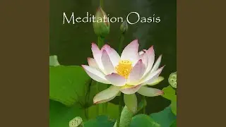 Emotional Ease Meditation