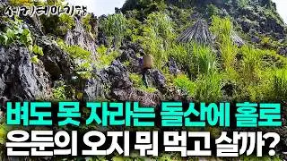협곡 가장 높은 꼭대기! 사방이 온통 바위 뿐인 곳에 사는 고립 오지 사람들은 뭐 먹고 살까? 직접 가봤더니 | 세계테마기행 | #세테깅