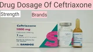 Drug Dosage of ceftriaxone!Brands! Strength@dontworrydontworry-c3z#india#usa#drug