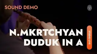N. Mkrtchyan / Duduk in A &ndash; Authentic Armenian Duduk Demo | Dudukhouse&reg;