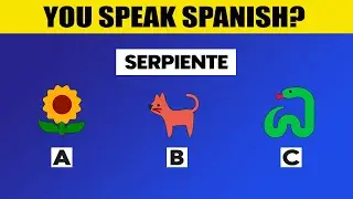A SPANISH challenge for you! 30 very simple words. How many do you know? | WIKIFUN