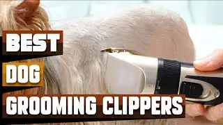 Best Dog Grooming Clipper In 2026 - Top 10 Dog Grooming Clippers Review