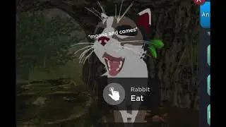 Robinspot x rabbit WCUE heat (haters don&rsquo;t watch)