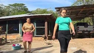 Se nos lleno la casa de abejas extranjeras🐝🥲