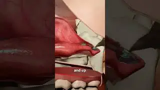 How to flush snot out your nose