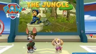 PAW Patrol Rescue Run 🐶  Help TRACKER and SKYE *THE JUNGLE Map!*