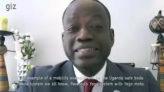 Examples of African Platforms