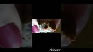 Gujarat raw gemstones