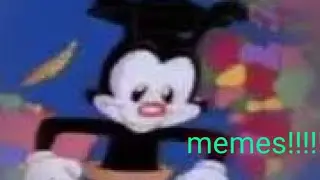 Yakko world but some countries have memes