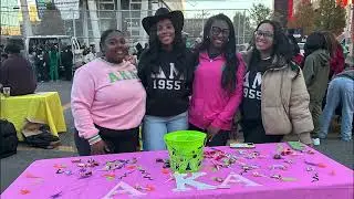 Promoting Wellness Through Temple University's National Panhellenic Council