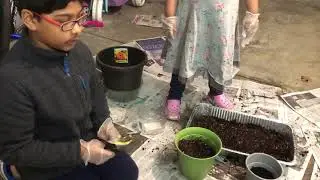 PlantingVideo