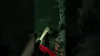 i can&rsquo;t tell if that was accidental #DEADBYDAYLIGHT #DBD #SHORTS #DBDSHORTS #DBDSURVIVOR #DBDL
