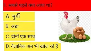 10 Interesting GK Questions | GK Questions in Hindi | Amazing 🤔 | Interesting GK Quiz | #gk #shorts