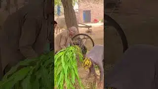 360 Years Old Iron Chaff Cutter Machine #shorts #ytshorts #trending