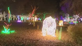 River of Lights kicks off at the ABQ BioPark Saturday night
