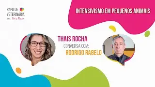 Intensivismo em pequenos animais, com Rodrigo Rabelo