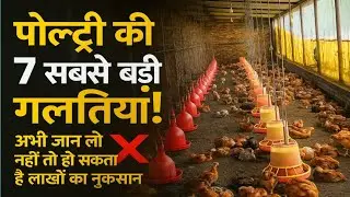 Poultry Farm Me Mortality Kaise Kam Karein? Top 7 Secrets!