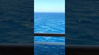 Reading about JAWS in the middle of the ocean