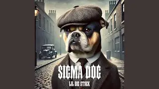 Sigma Dog