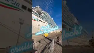 How do Cruise Ships DOCK?