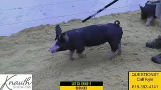Knauth Lot 33 Sept 27 Sale   20 September 2022   11 46 02 AM