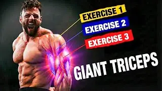 The ONLY 3 Tricep Exercises You’ll Ever Need