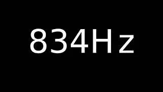 Speaker Sound Test 834Hz
