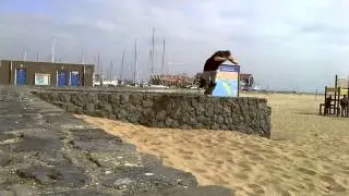 Arjan - Training Video