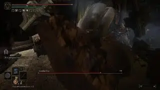 ELDEN RING - Nightmaiden Mist vs Godskin Duo (NG+)