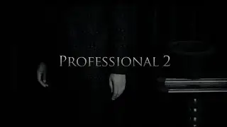 Professional 2 by Kim Hyun Soo - Silk Magic - Magicland.se