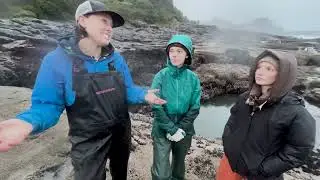 Competitive exclusion, zonation, niches, and biodiversity in the rocky intertidal zone