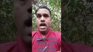 #How to Identify Helping & Linking verb practice sentence hindi to english by kamal choudhari Imp##