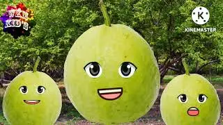 10Easy lines on guava in English/My favorite fruit guava/easy essay on guava/a few lines about guava