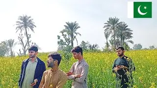 Hamara Gaon  | Aur khubsurat Khet🌴🌾 