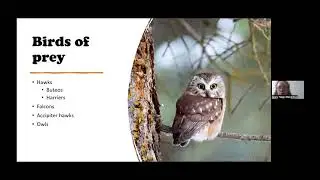 Opportunities for Community Science Across the Seasons: the Christmas Bird Count