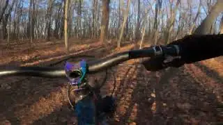 MTB head accelerations testing trail 3, Framed Bobtrax vs. Devinci Marshall vs. Salsa Cassidy