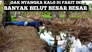 Spot Mancing Belut Sawah Terbaik 2020 Disini Belutnya Besar Besar Saya Sampai Kewalahan
