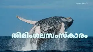 മനുഷ്യസംസ്കാരത്തെക്കാൾ പഴയ സംസ്കാരമോ ? Cetaceans the cultural beings