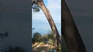 Walking Walking Tour in Cap D'Antibes, France - Sea and City sounds - n3 法国