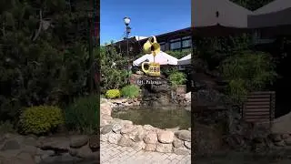 HBH Palanga, Juozo alus