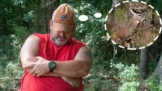 2019 Deer Season Food Plots