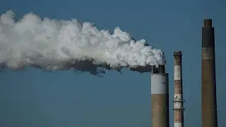 COP30 w Brazylii: lobbyści paliw kopalnych liczniejsi niż prawie każda delegacja