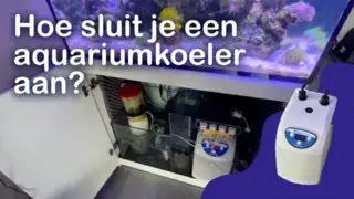 KOELER/CHILLER voor aquarium aansluiten met uitleg (zeeaquarium & zoetwater aquarium) +ENG & NL SUBS