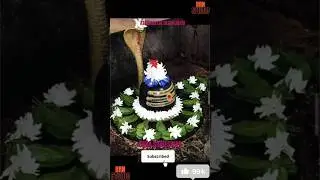 Explore the Mysterious Athamallik Deulajhari Sidheswar Temple! 🙏🙏💥💥🙏🙏 #shorts #trendingshorts #viral