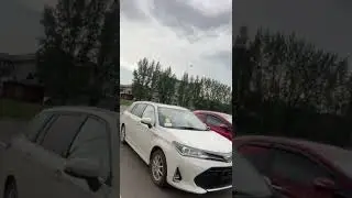 Отзывы важны!#кемерово# #auto #automobile #car #japan #nice #russia #video #life