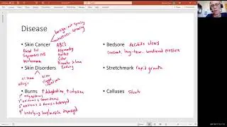 Biology 2010 Chapter 5 Integumentary System Disease (Video 11)